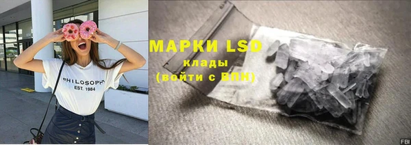 прущий лед Вяземский