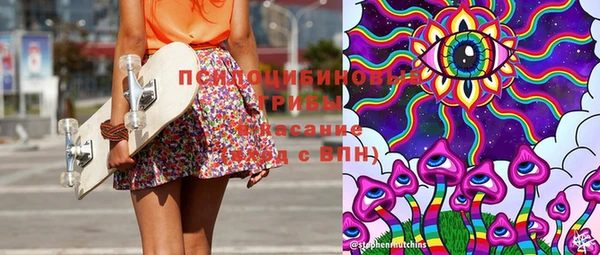 стаф Вязьма