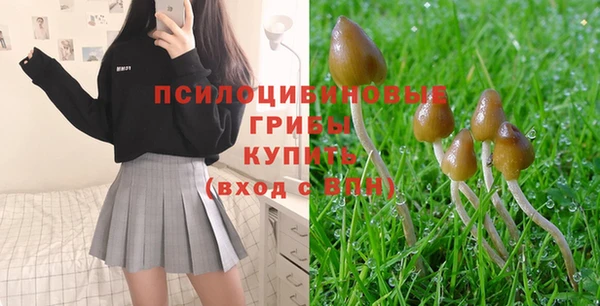 стаф Вязьма