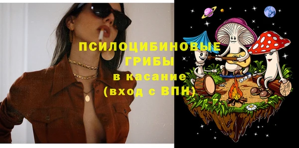 прущий лед Вяземский