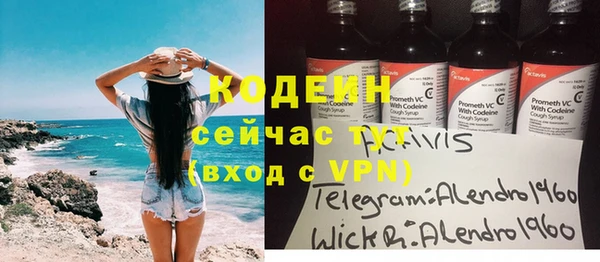 стаф Вязьма