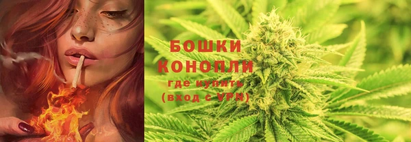 прущий лед Вяземский