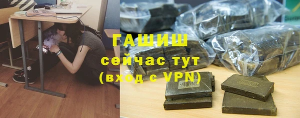 стаф Вязьма