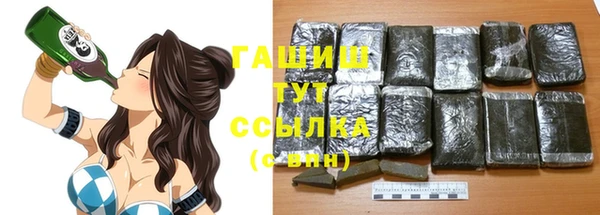 стаф Вязьма
