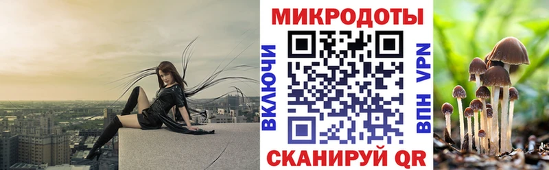 Купить где  Нестеровская  Псилоцибиновые грибы Magic Shrooms 